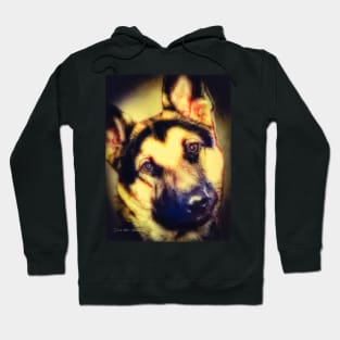 You Looking At Me?  -  Graphic 1 Hoodie